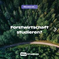 Forstwirtschaft studieren?